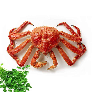 Краб дальневосточный Королевский целый, замороженный (Подарочный) 1,5-3кг